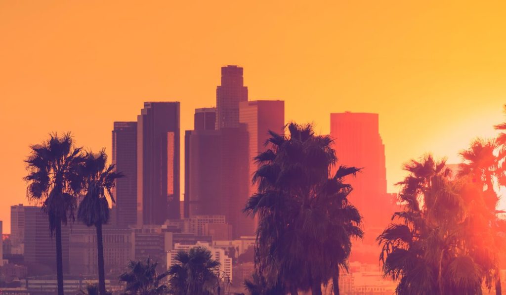 Los Angeles - Life Experiences (4)