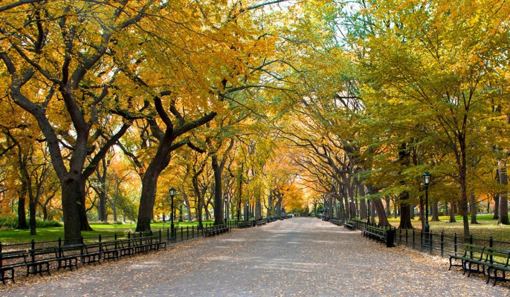 New York - Life Experiences